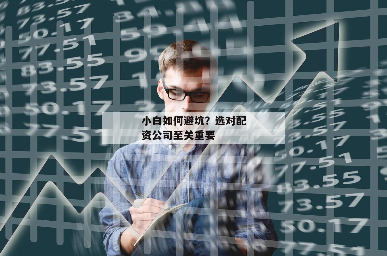 小白如何避坑?选对配资公司至关重要 小白如何避坑?选对配资公司至关重要